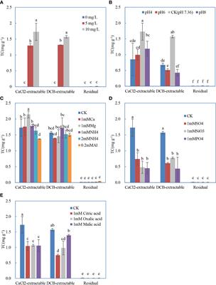 Electrochemical properties of roots determine antibiotic adsorption on roots